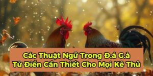 Nắm vững các thuật ngữ đá gà là điều vô cùng quan trọng cần thiết